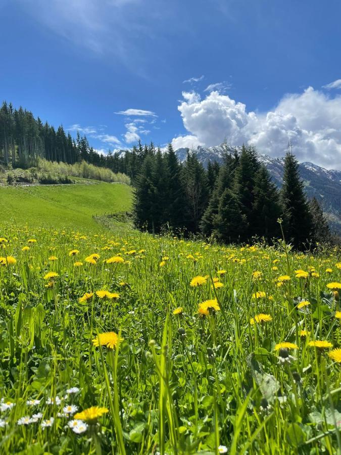 Taurachhof Astlehen Daire Alpendorf  Dış mekan fotoğraf